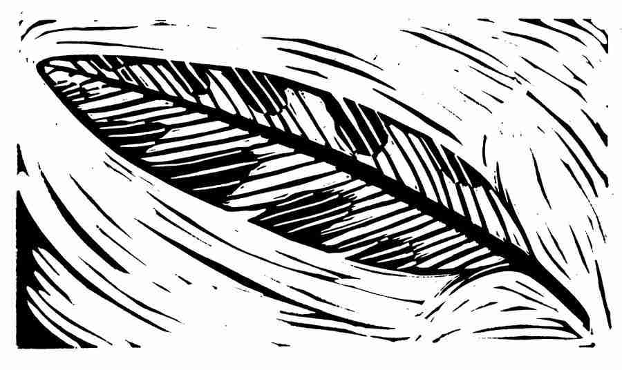 Natures Design Elements - Artville ></a>
<script language=JavaScript> 
  var txt = 