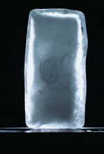 BackArts: Anatomy Ice and Illusions 