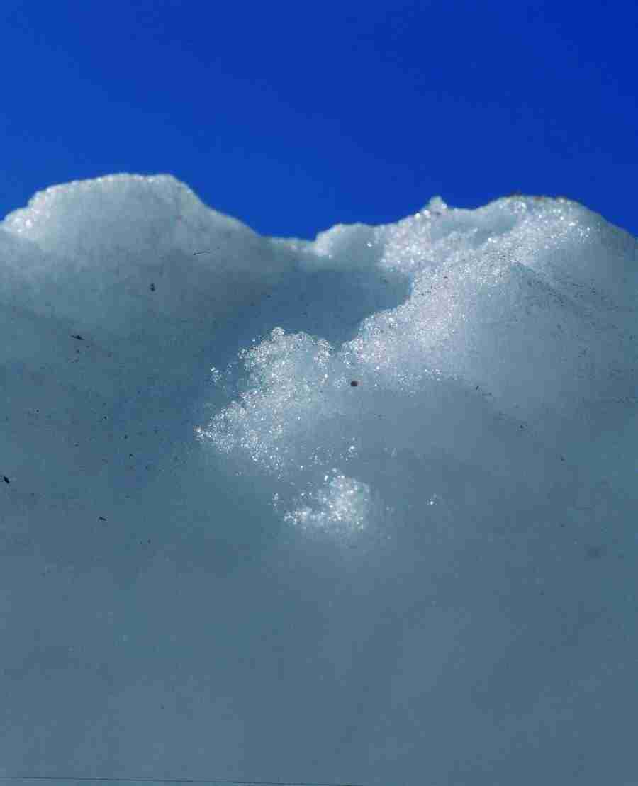 Anatomy Ice and Illusions - BackArts ></a>
<script language=JavaScript> 
  var txt = 