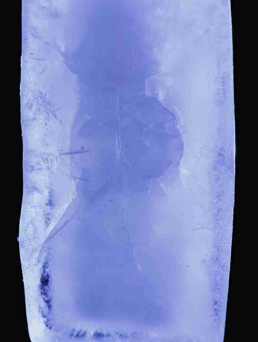 Anatomy Ice and Illusions - BackArts ></a>
<script language=JavaScript> 
  var txt = 