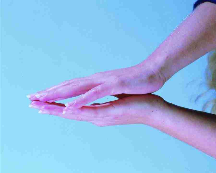 Anatomy Ice and Illusions - BackArts ></a>
<script language=JavaScript> 
  var txt = 