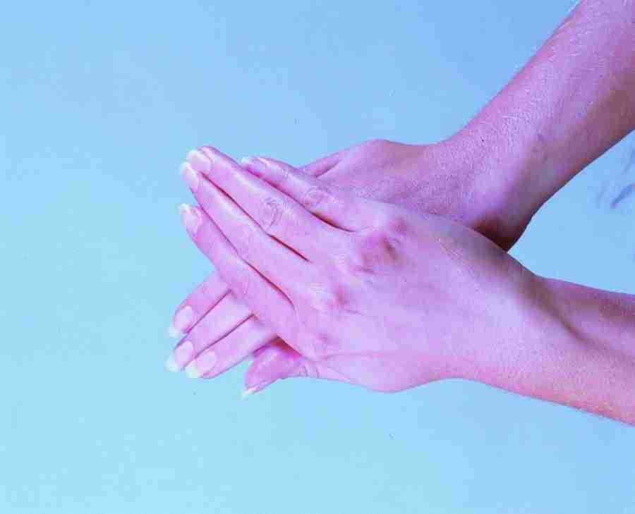 Anatomy Ice and Illusions - BackArts ></a>
<script language=JavaScript> 
  var txt = 