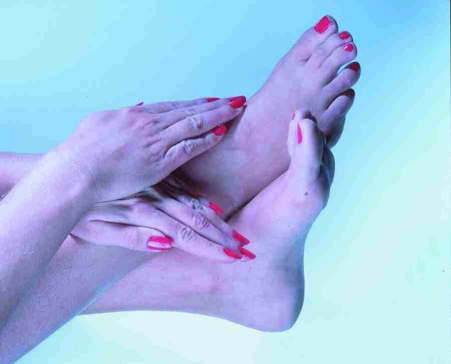 Anatomy Ice and Illusions - BackArts ></a>
<script language=JavaScript> 
  var txt = 