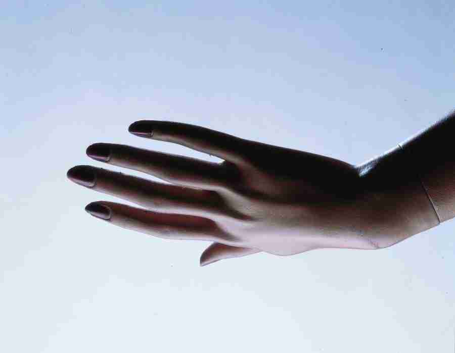 Anatomy Ice and Illusions - BackArts ></a>
<script language=JavaScript> 
  var txt = 