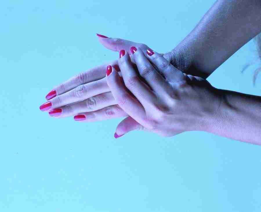 Anatomy Ice and Illusions - BackArts ></a>
<script language=JavaScript> 
  var txt = 