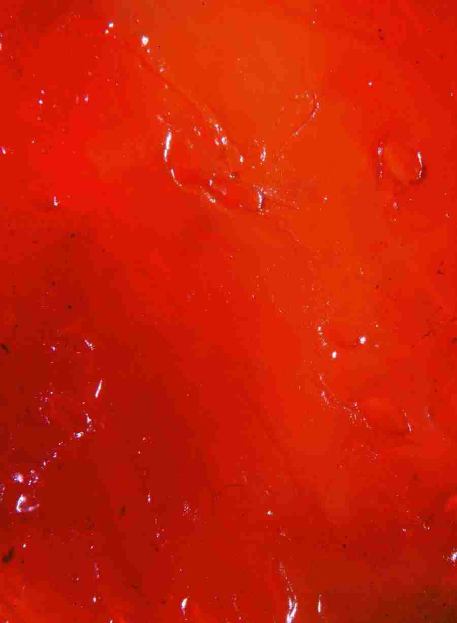 Anatomy Ice and Illusions - BackArts ></a>
<script language=JavaScript> 
  var txt = 