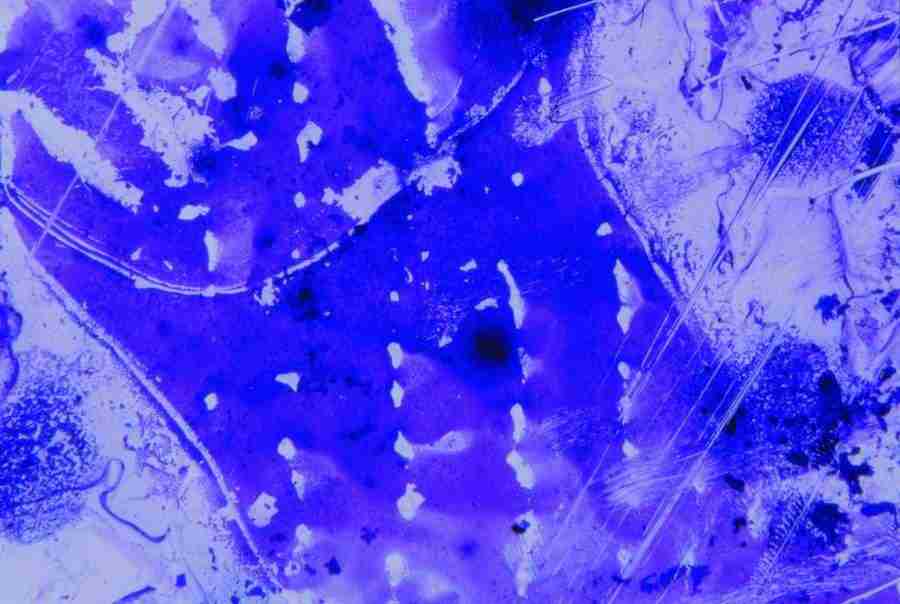 Anatomy Ice and Illusions - BackArts ></a>
<script language=JavaScript> 
  var txt = 