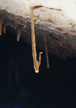 BackArts: Caves 