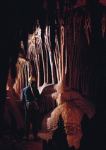 BackArts: Caves 