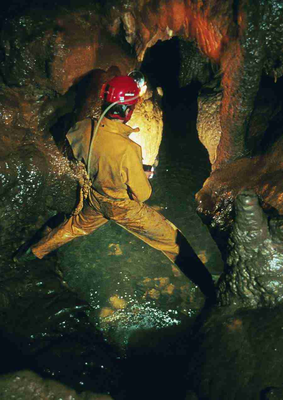 Caves - BackArts ></a>
<script language=JavaScript> 
  var txt = 