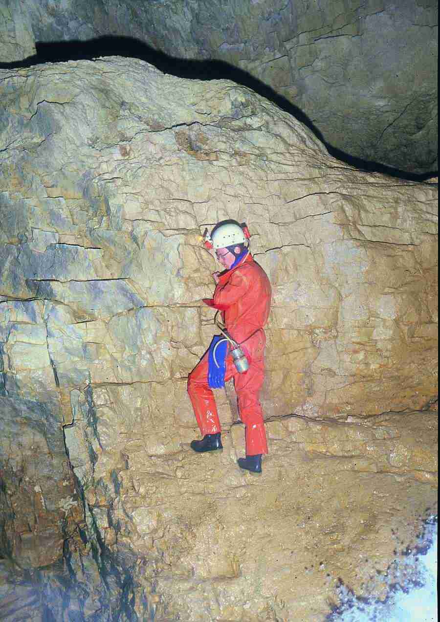 Caves - BackArts ></a>
<script language=JavaScript> 
  var txt = 