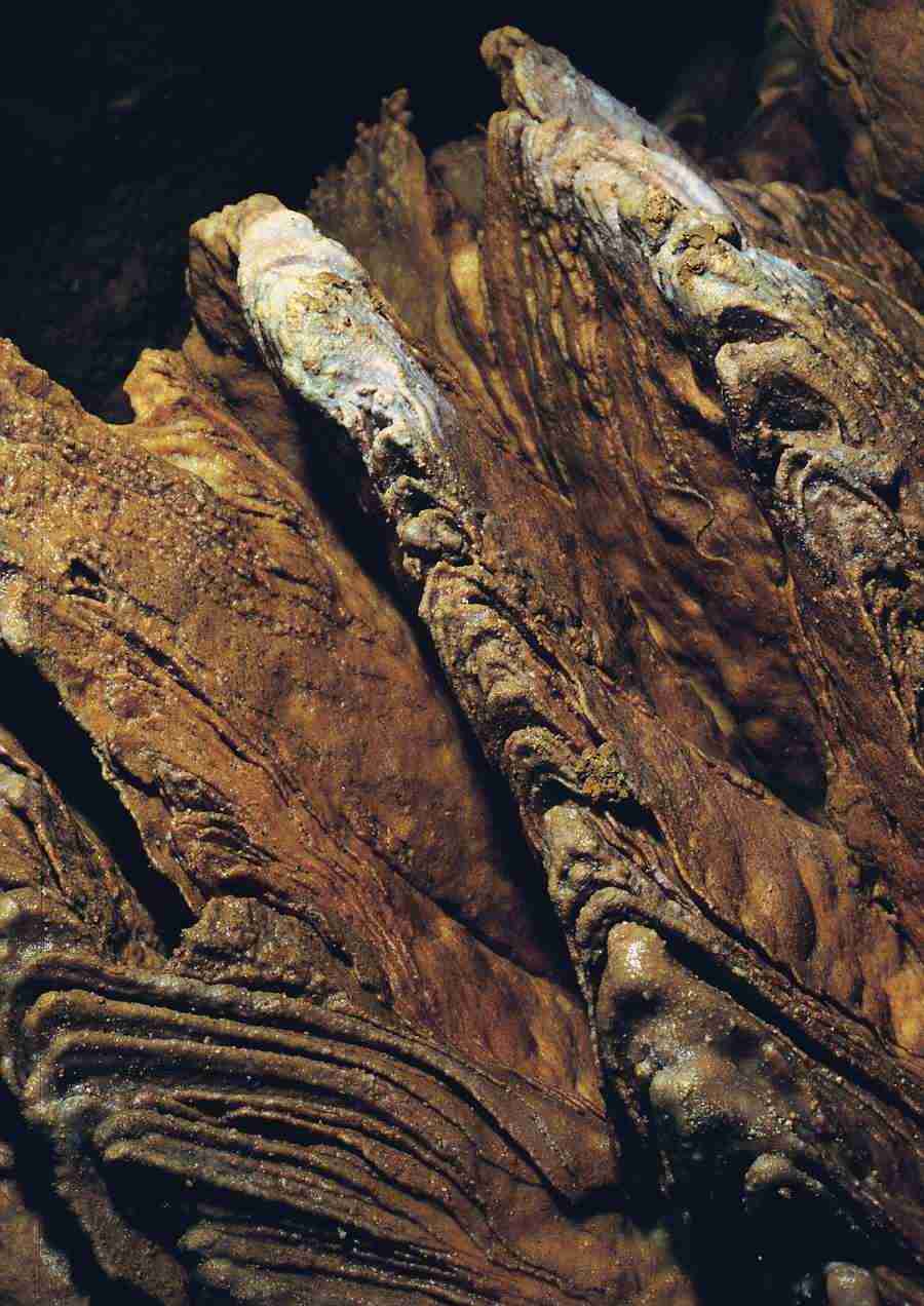 Caves - BackArts ></a>
<script language=JavaScript> 
  var txt = 