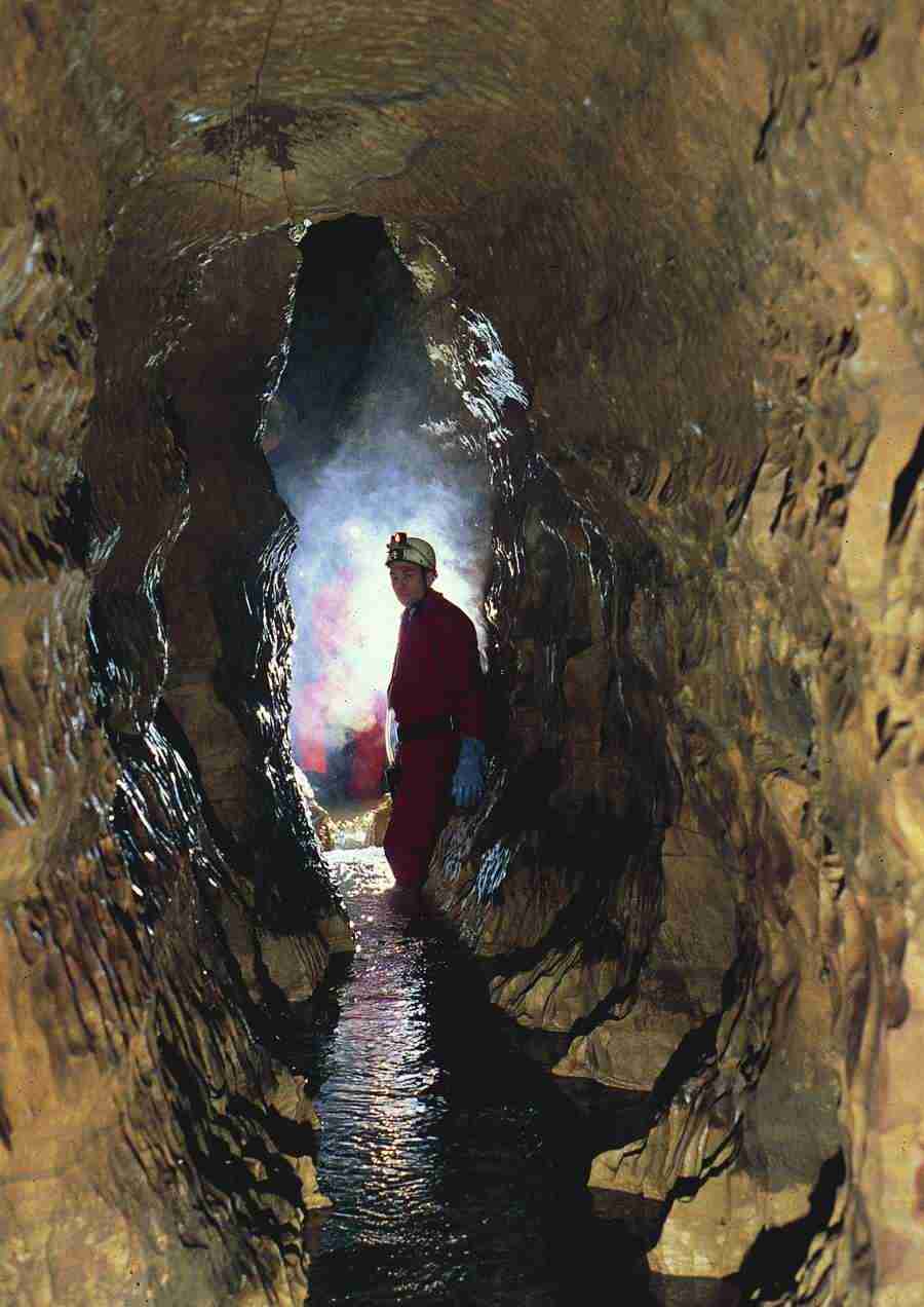 Caves - BackArts ></a>
<script language=JavaScript> 
  var txt = 