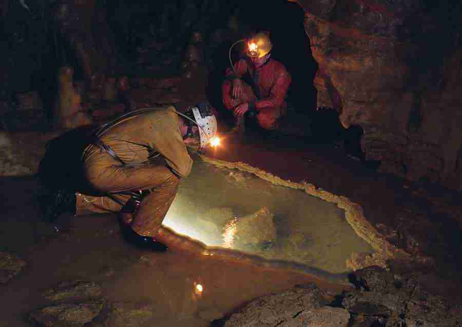 Caves - BackArts ></a>
<script language=JavaScript> 
  var txt = 
