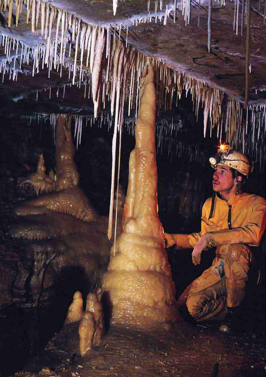 Caves - BackArts ></a>
<script language=JavaScript> 
  var txt = 