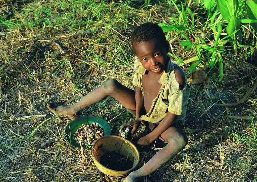 East Africa - BackArts ></a>
<script language=JavaScript> 
  var txt = 