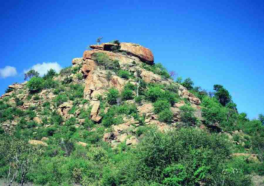 East Africa - BackArts ></a>
<script language=JavaScript> 
  var txt = 