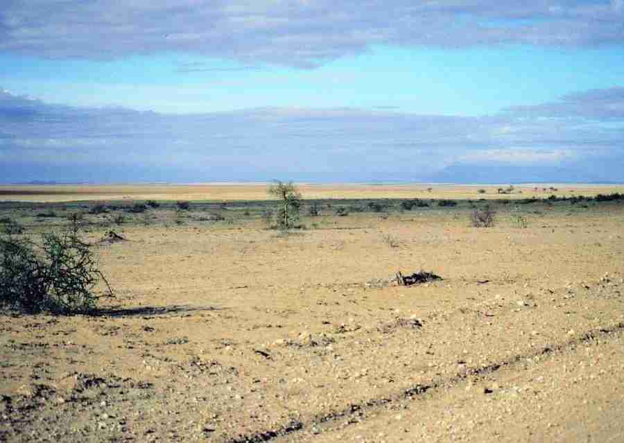East Africa - BackArts ></a>
<script language=JavaScript> 
  var txt = 