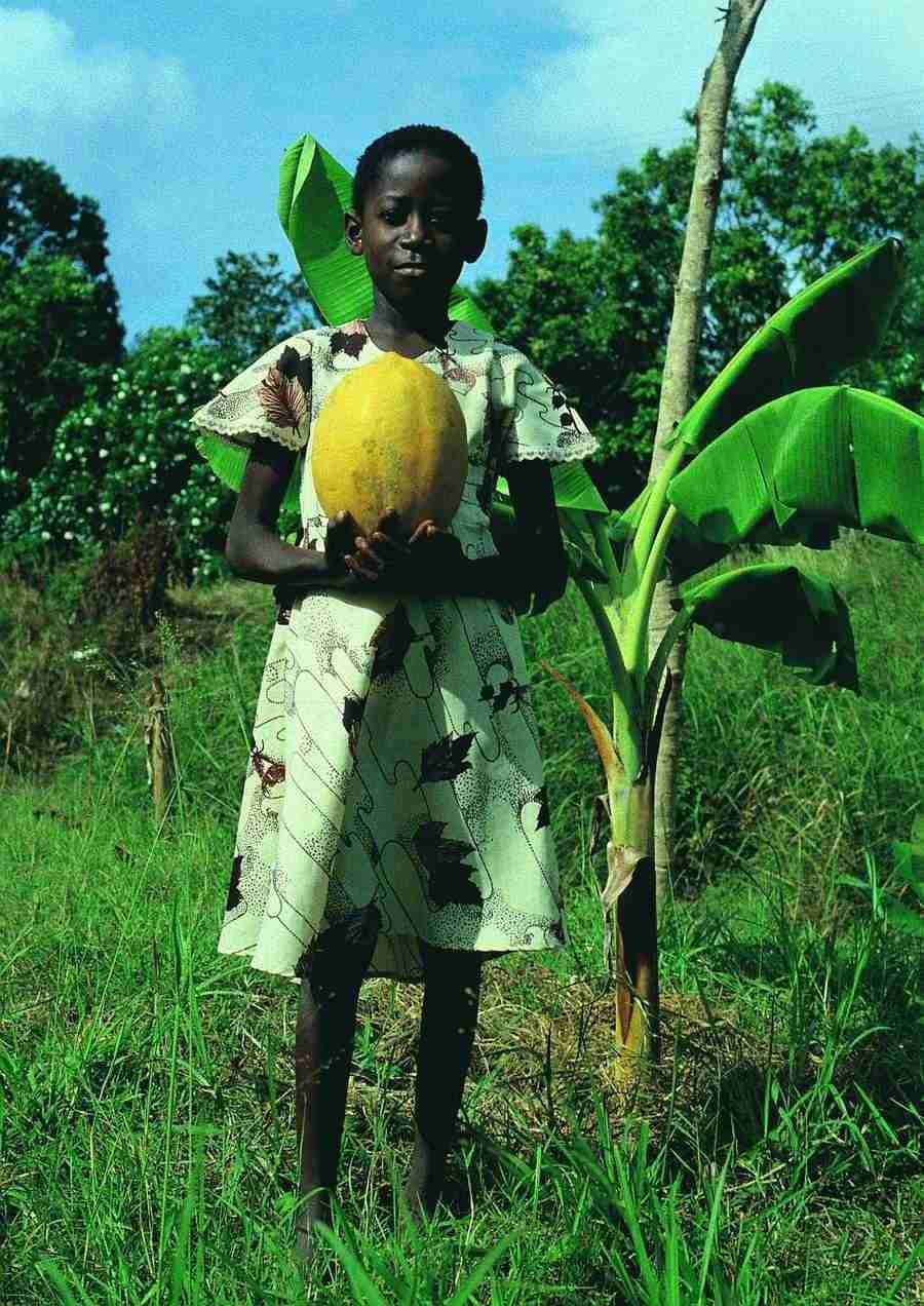 East Africa - BackArts ></a>
<script language=JavaScript> 
  var txt = 