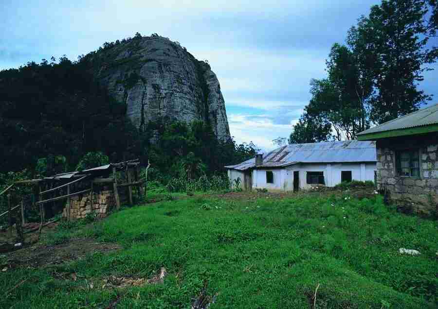 East Africa - BackArts ></a>
<script language=JavaScript> 
  var txt = 
