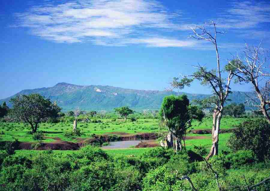 East Africa - BackArts ></a>
<script language=JavaScript> 
  var txt = 