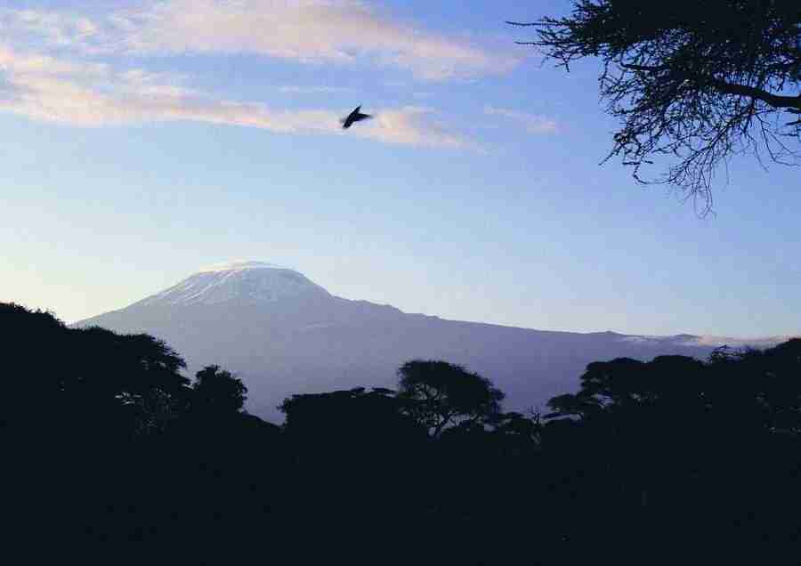 East Africa - BackArts ></a>
<script language=JavaScript> 
  var txt = 