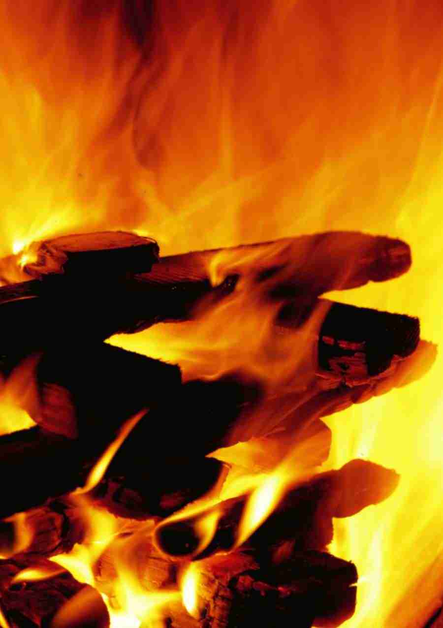 Fire, Earth and Nature - BackArts ></a>
<script language=JavaScript> 
  var txt = 