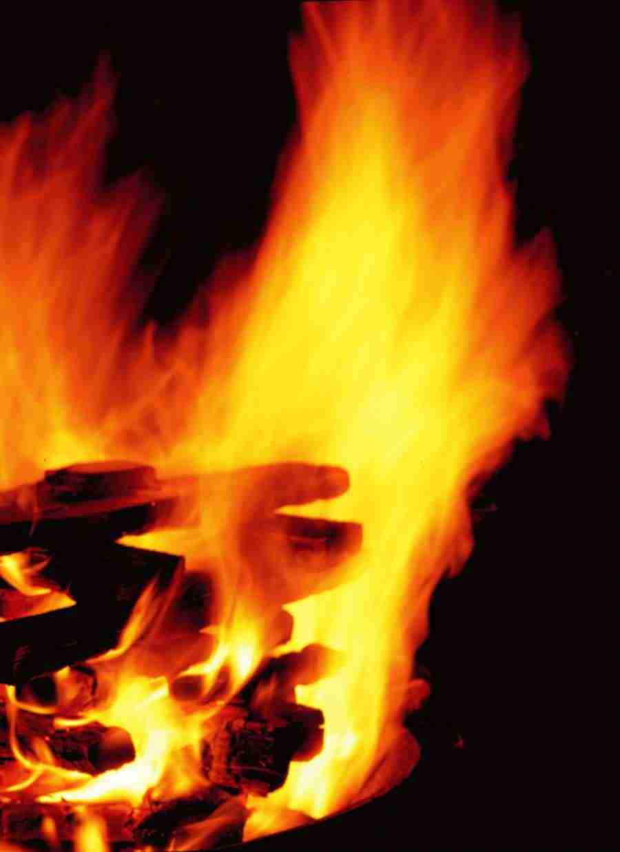 Fire, Earth and Nature - BackArts ></a>
<script language=JavaScript> 
  var txt = 