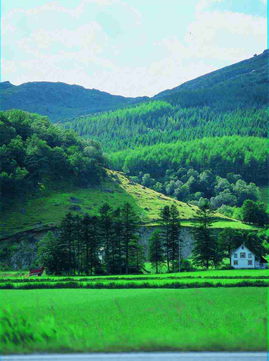 Fantasy, Scenery and Plants - BackArts ></a>
<script language=JavaScript> 
  var txt = 