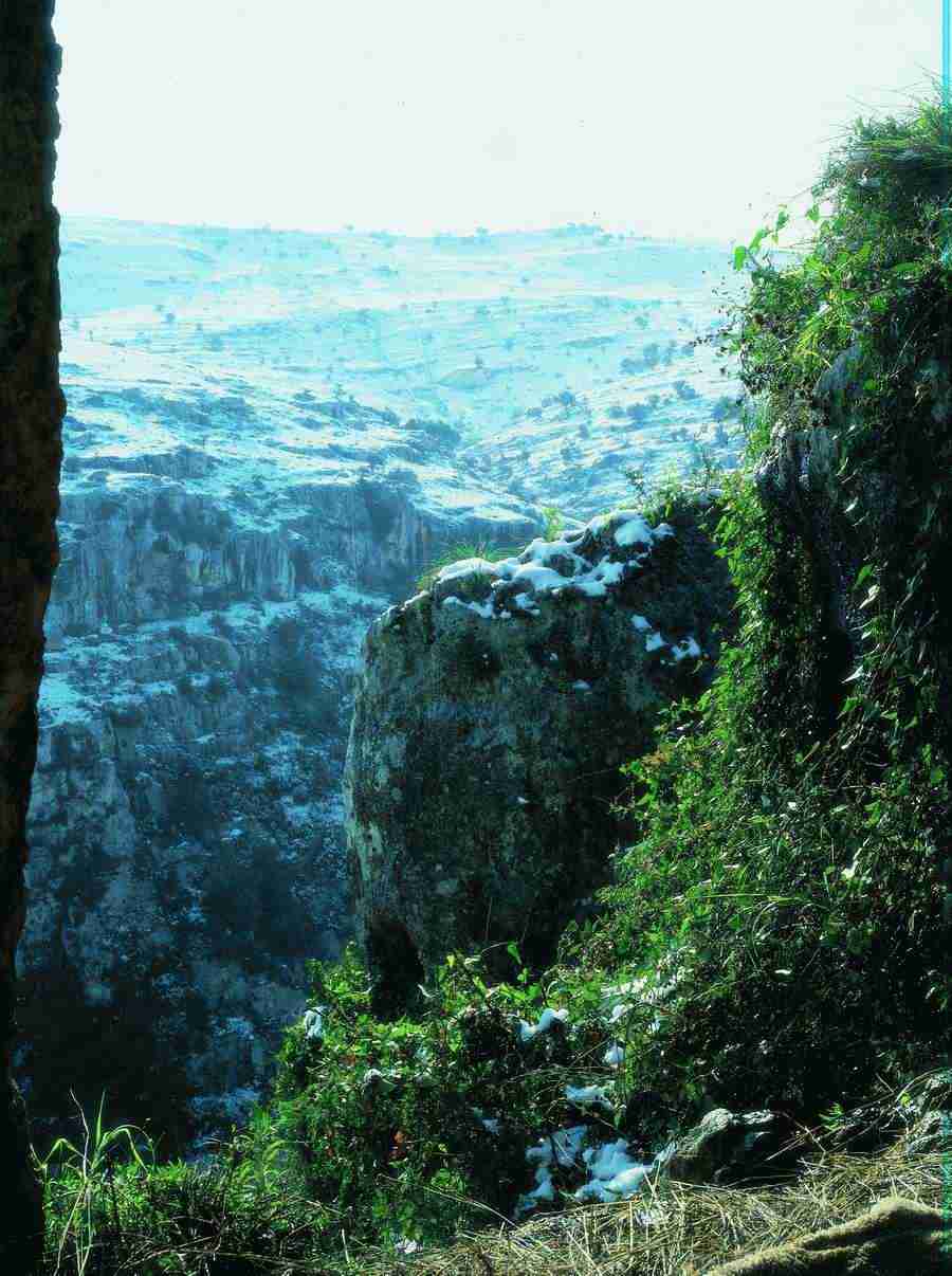Fantasy, Scenery and Plants - BackArts ></a>
<script language=JavaScript> 
  var txt = 