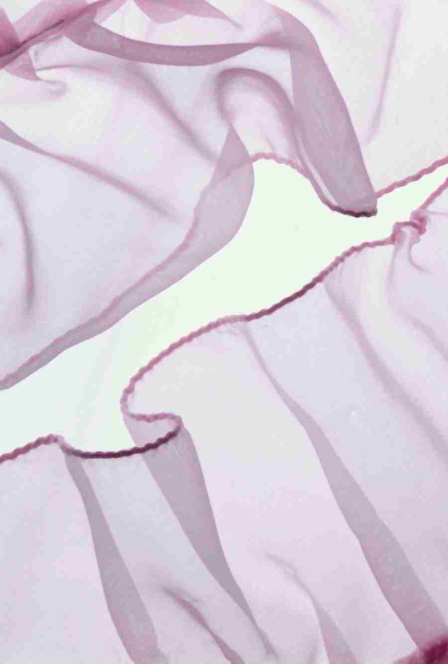 Glass, Water and Fabrics - BackArts ></a>
<script language=JavaScript> 
  var txt = 