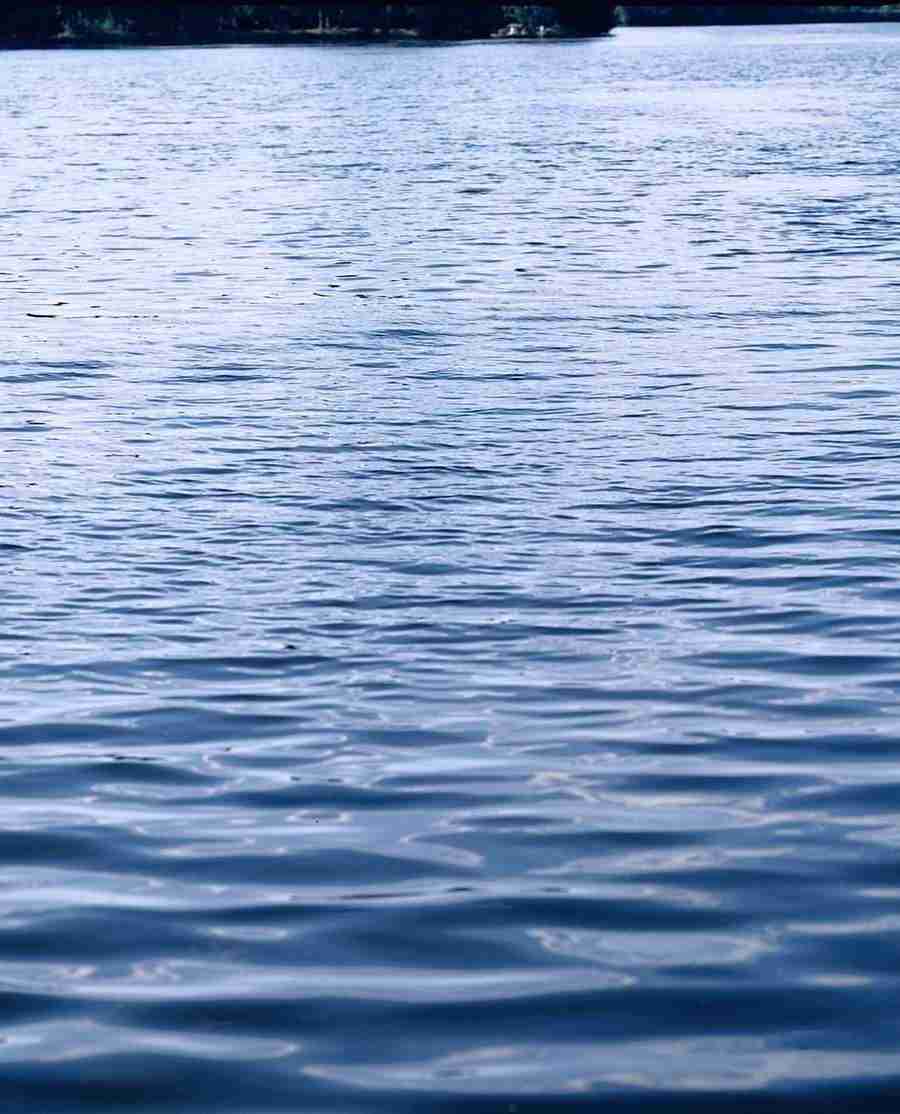 Glass, Water and Fabrics - BackArts ></a>
<script language=JavaScript> 
  var txt = 