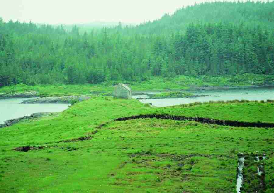 Ireland - BackArts ></a>
<script language=JavaScript> 
  var txt = 