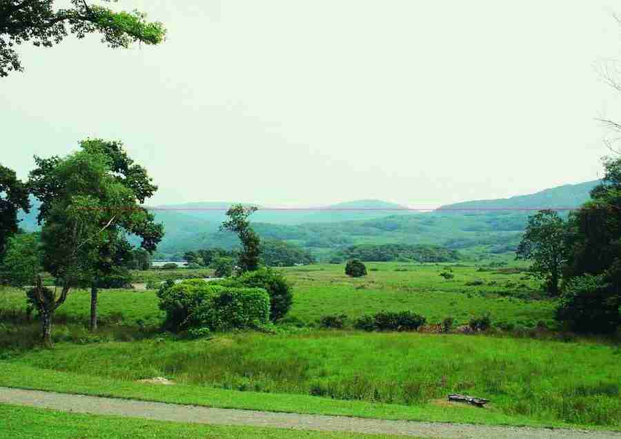 Ireland - BackArts ></a>
<script language=JavaScript> 
  var txt = 