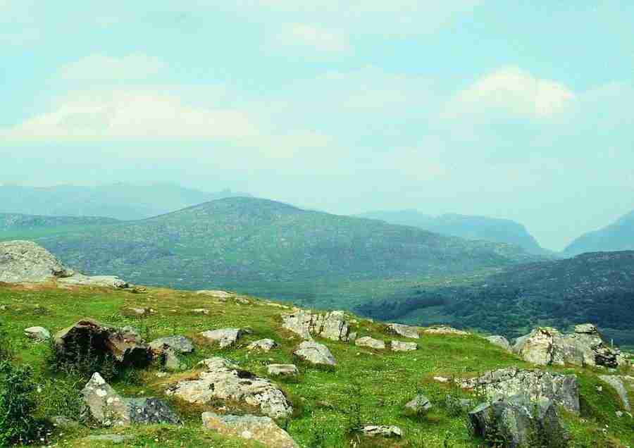 Ireland - BackArts ></a>
<script language=JavaScript> 
  var txt = 