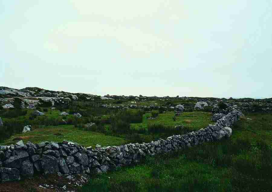 Ireland - BackArts ></a>
<script language=JavaScript> 
  var txt = 