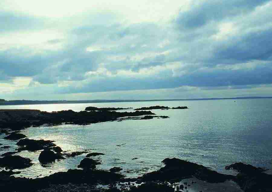 Ireland - BackArts ></a>
<script language=JavaScript> 
  var txt = 