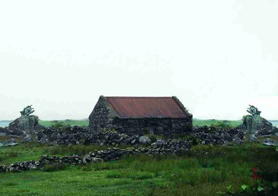 Ireland - BackArts ></a>
<script language=JavaScript> 
  var txt = 