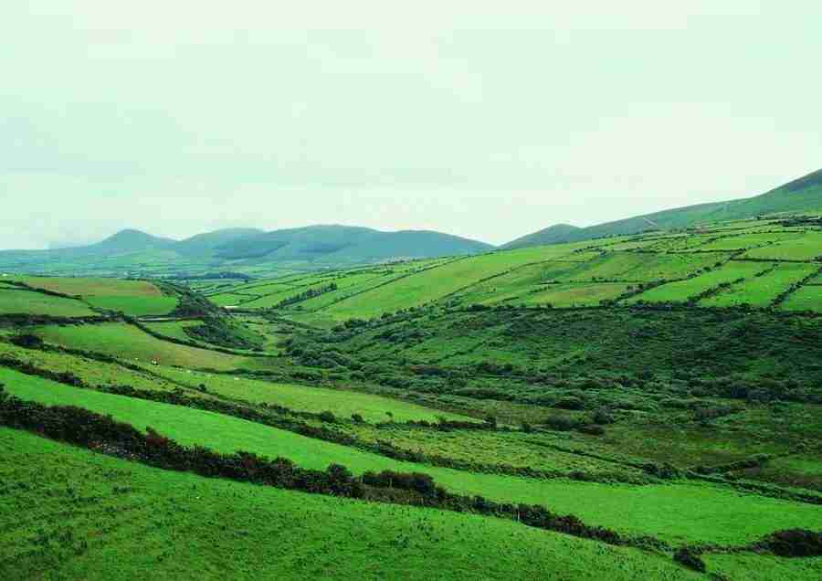 Ireland - BackArts ></a>
<script language=JavaScript> 
  var txt = 