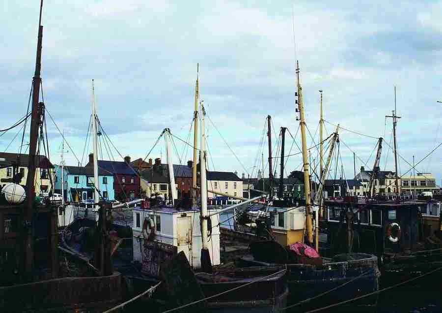 Ireland - BackArts ></a>
<script language=JavaScript> 
  var txt = 