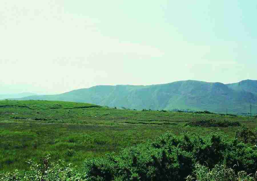 Ireland - BackArts ></a>
<script language=JavaScript> 
  var txt = 