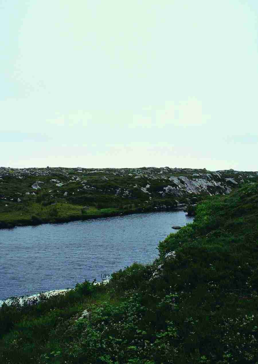 Ireland - BackArts ></a>
<script language=JavaScript> 
  var txt = 