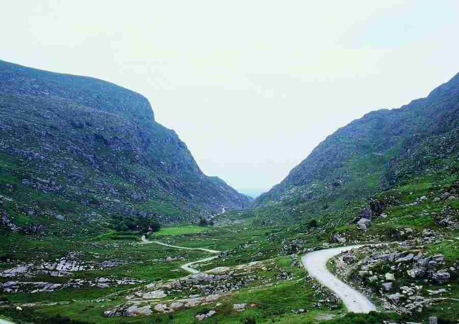 Ireland - BackArts ></a>
<script language=JavaScript> 
  var txt = 