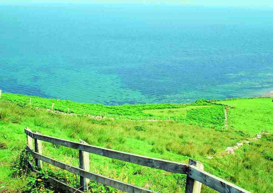 Ireland - BackArts ></a>
<script language=JavaScript> 
  var txt = 