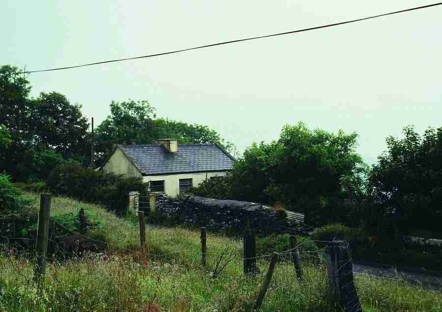 Ireland - BackArts ></a>
<script language=JavaScript> 
  var txt = 