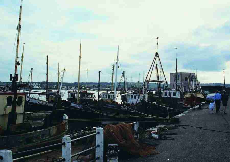 Ireland - BackArts ></a>
<script language=JavaScript> 
  var txt = 