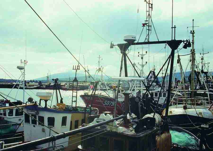 Ireland - BackArts ></a>
<script language=JavaScript> 
  var txt = 