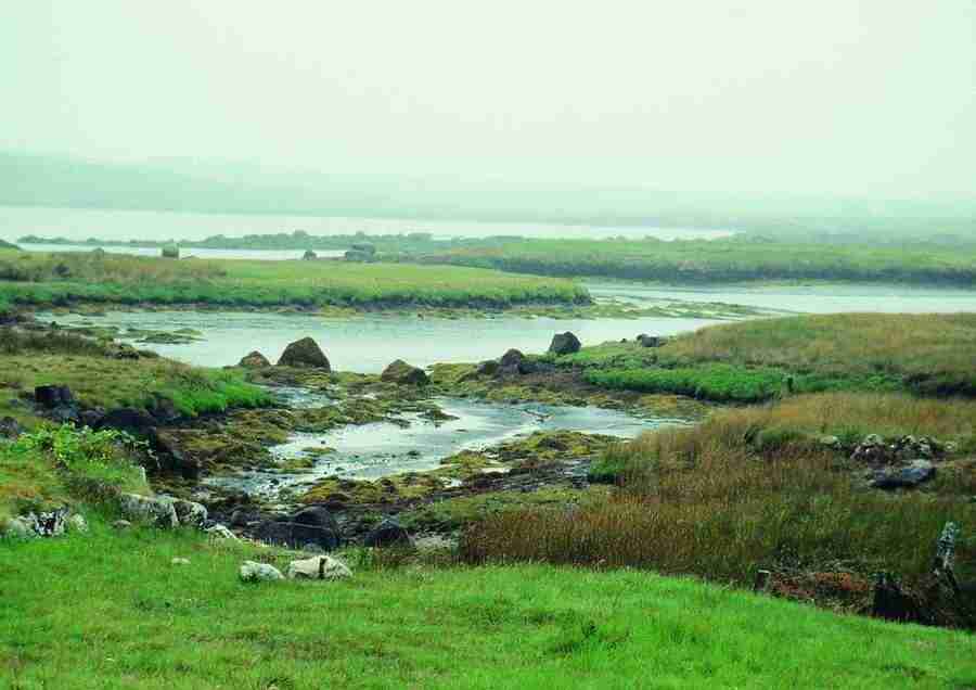 Ireland - BackArts ></a>
<script language=JavaScript> 
  var txt = 