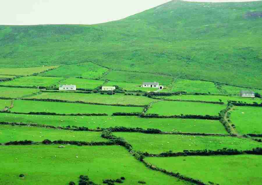 Ireland - BackArts ></a>
<script language=JavaScript> 
  var txt = 