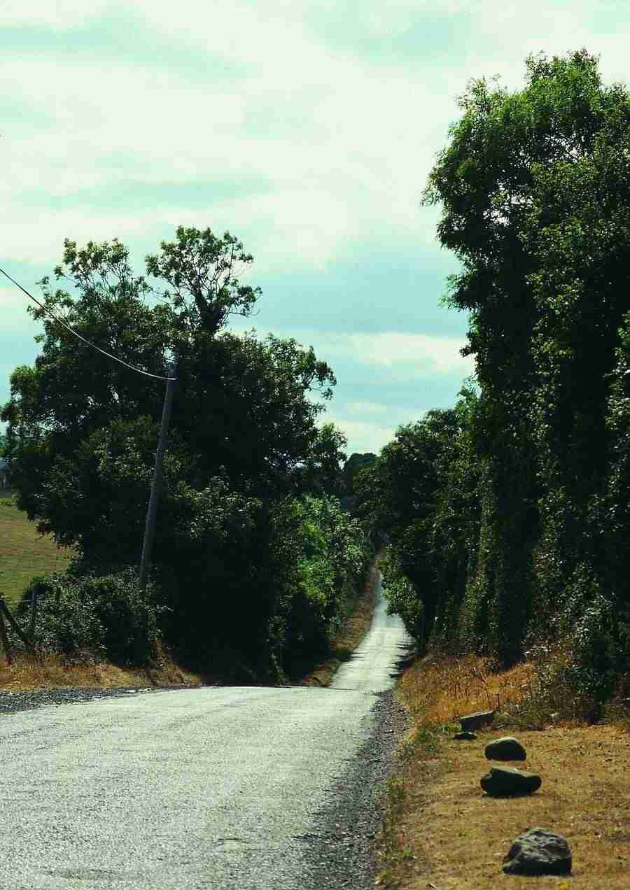 Ireland - BackArts ></a>
<script language=JavaScript> 
  var txt = 